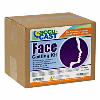 Face Casting Kit